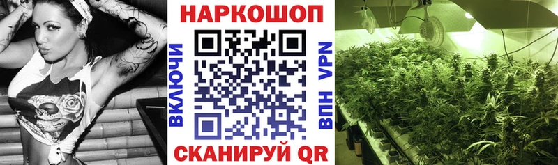 Что такое Макушино Cocaine Гашиш