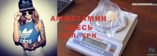 стафф Корсаков