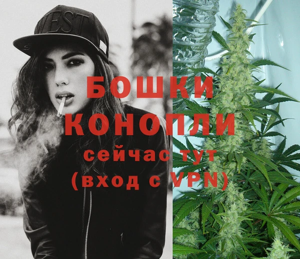 ПСИЛОЦИБИНОВЫЕ ГРИБЫ Краснослободск