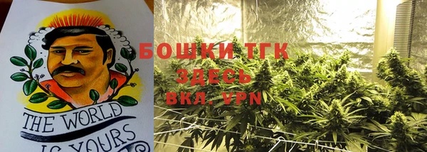 ПСИЛОЦИБИНОВЫЕ ГРИБЫ Краснослободск