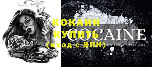 стафф Корсаков