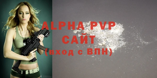 стафф Корсаков