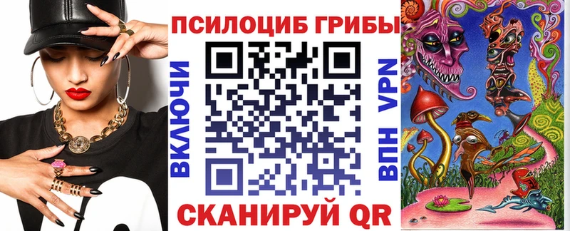 купить наркотик  Макушино  Псилоцибиновые грибы Cubensis 